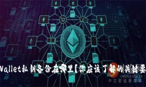 TPWallet私钥备份在哪里？你应该了解的关键要点！