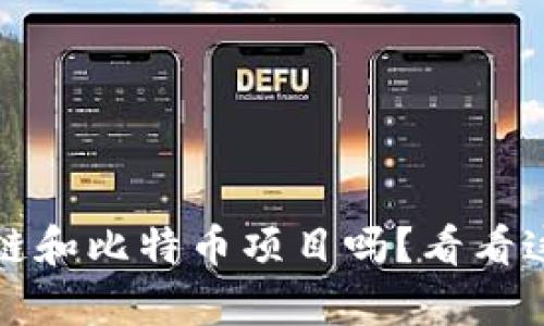 你了解区块链和比特币项目吗？看看这篇全面解析
