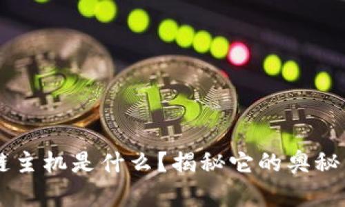 区块链主机是什么？揭秘它的奥秘与应用