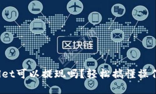 tpwallet可以提现吗？轻松搞懂操作流程！