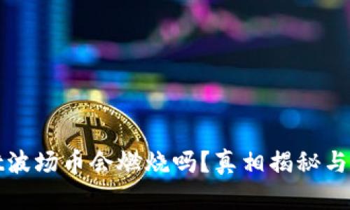 tpwallet波场币会燃烧吗？真相揭秘与前景分析