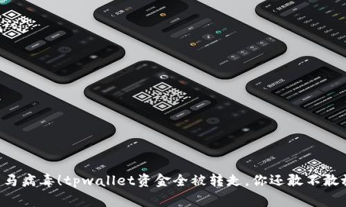 手机中木马病毒！tpwallet资金全被转走，你还敢不敢放松警惕？