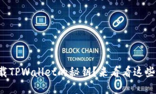 怎么快速下载TPWallet的秘钥？来看看这些实用小技巧！