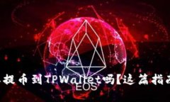 想知道怎样提币到TPWallet吗？这篇指南帮你解惑！