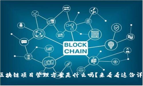 你知道区块链项目管理方案是什么吗？来看看这份详细解析！