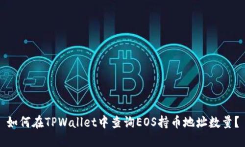 如何在TPWallet中查询EOS持币地址数量？
