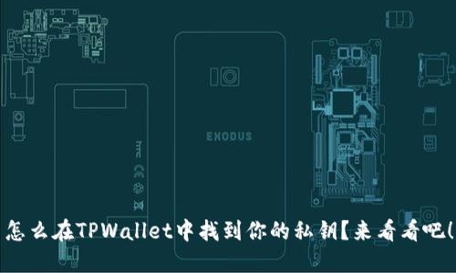 怎么在TPWallet中找到你的私钥？来看看吧！
