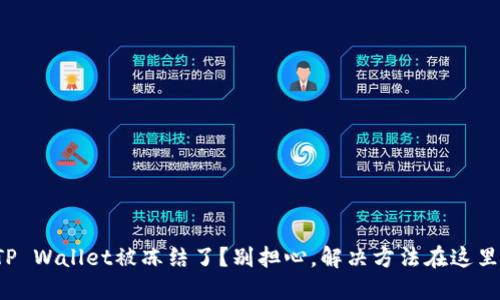 TP Wallet被冻结了？别担心，解决方法在这里！