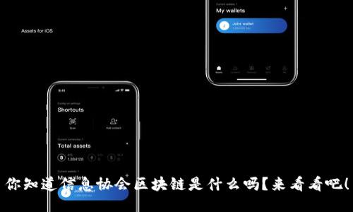 你知道信息协会区块链是什么吗？来看看吧！