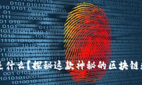 达斯币是什么？探秘这款神秘的区块链数字货币