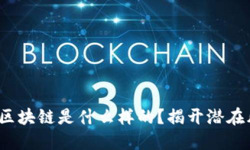 : 最危险的区块链是什么样的？揭开潜在风险的面纱！