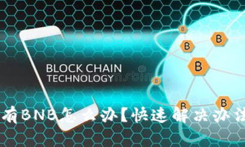 TPWallet没有BNB怎么办？快速解决办法和操作指南