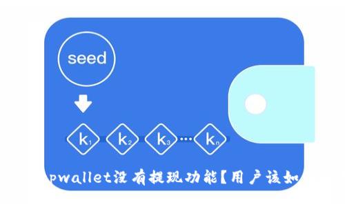 为什么tpwallet没有提现功能？用户该如何处理？