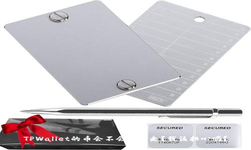 TPWallet的币会不会被转走？我该担心吗？