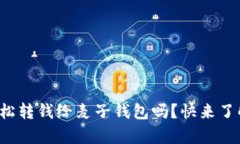 tpwallet可以轻松转钱给麦子钱包吗？快来了解下操