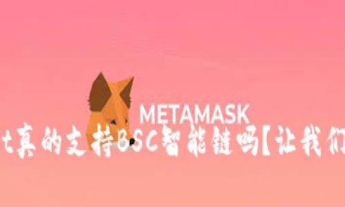tpwallet真的支持BSC智能链吗？让我们来看看！