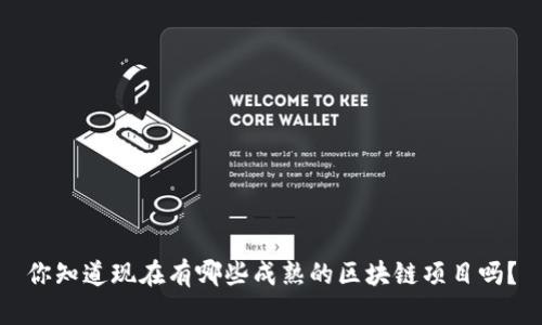 你知道现在有哪些成熟的区块链项目吗？