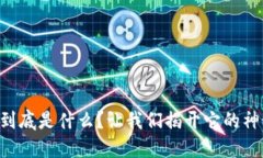 区块链到底是什么？让我们揭开它的神秘面纱！