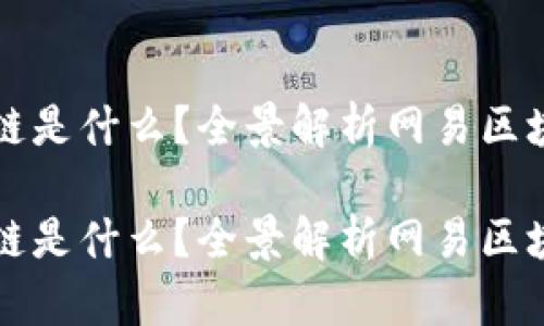 网易公司的区块链是什么？全景解析网易区块链的应用与前景

网易公司的区块链是什么？全景解析网易区块链的应用与前景