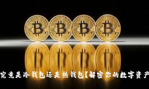 tpwallet究竟是冷钱包还是热钱包？解密你的数字资产保护策略
