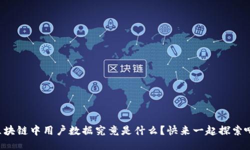 区块链中用户数据究竟是什么？快来一起探索吧！