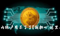 TPWallet国内账户用不了了？别担心，这里有解决方
