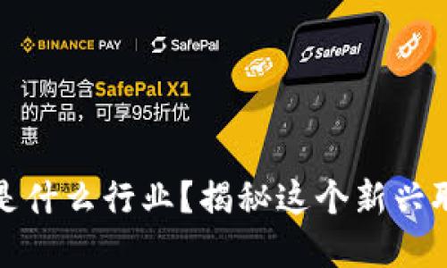搭建区块链软件是什么行业？揭秘这个新兴职业的魅力与挑战