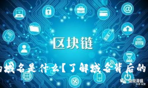 区块链中的域名是什么？了解域名背后的区块链技术
