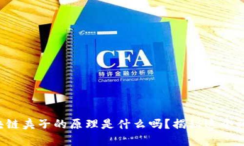 你知道区块链夹子的原理是什么吗？揭秘这个神奇的技术！