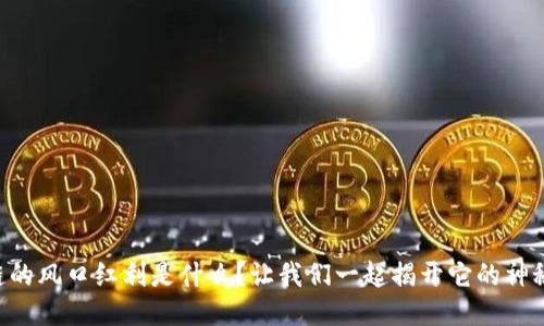 区块链的风口红利是什么？让我们一起揭开它的神秘面纱！