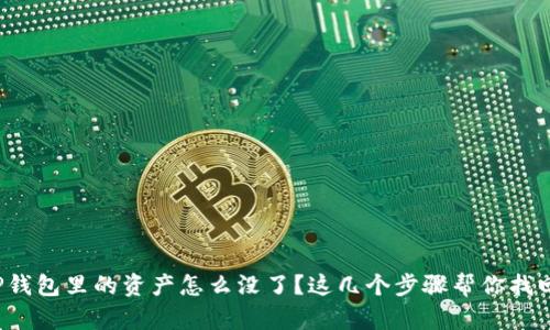 TP钱包里的资产怎么没了？这几个步骤帮你找回！