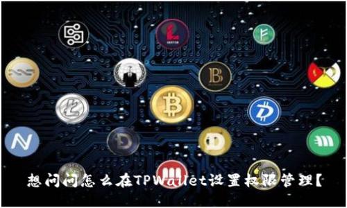 想问问怎么在TPWallet设置权限管理？