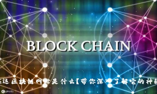 中远海运区块链网站是什么？带你深入了解它的神秘面纱！