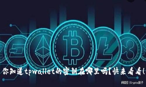你知道tpwallet的密钥在哪里吗？快来看看！