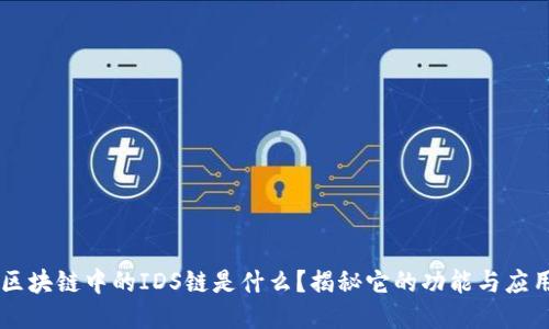 区块链中的IDS链是什么？揭秘它的功能与应用