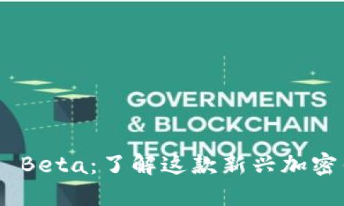 TokenPocket Pro Beta：了解这款新兴加密钱包的特性与优势