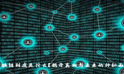区块链到底是什么？揭开真相与未来的神秘面纱