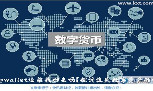 手机掉了tpwallet还能找回来吗？探讨流失数字资产的恢复可能性