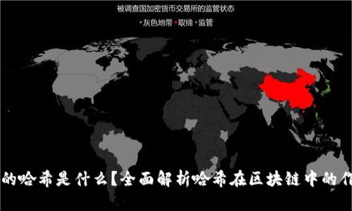 区块链中的哈希是什么？全面解析哈希在区块链中的作用与应用