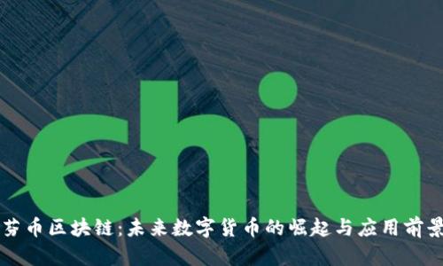 芬币区块链：未来数字货币的崛起与应用前景
