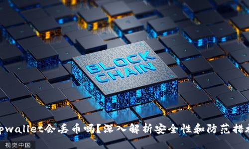 tpwallet会丢币吗？深入解析安全性和防范措施