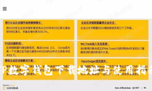 TP数字钱包下载地址与使用指南
