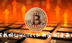 :如何找回tpwallet私钥密钥：全面指南