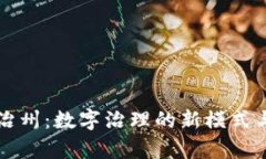 区块链自治州：数字治理的新模式与未来前景
