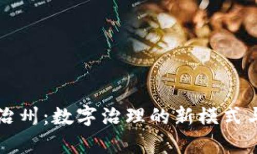 区块链自治州：数字治理的新模式与未来前景
