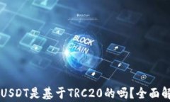 TPWallet中的USDT是基于TRC20的吗？全面解析与使用指
